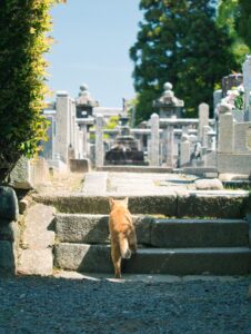 応募写真５０