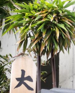 応募写真３０