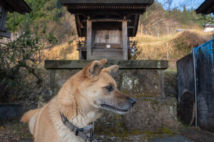 応募写真２７