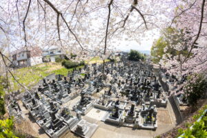 応募写真４２