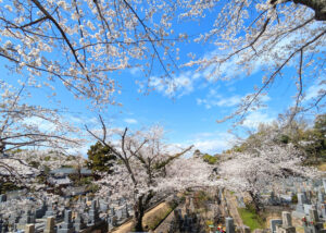 応募写真３１